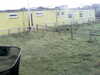 20200908-MOVI0043-frame0002.jpg