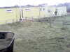 20200908-MOVI0043-frame0003.jpg