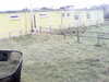 20200908-MOVI0043-frame0004.jpg