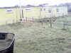 20200908-MOVI0043-frame0005.jpg