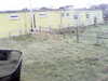 20200908-MOVI0044-frame0001.jpg