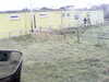 20200908-MOVI0044-frame0002.jpg