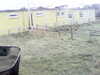 20200908-MOVI0044-frame0003.jpg