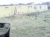 20200908-MOVI0045-frame0001.jpg