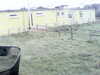 20200908-MOVI0045-frame0002.jpg