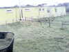 20200908-MOVI0046-frame0002.jpg