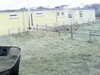 20200908-MOVI0046-frame0003.jpg