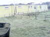 20200908-MOVI0046-frame0004.jpg