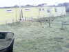 20200908-MOVI0046-frame0005.jpg