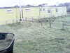 20200908-MOVI0047-frame0001.jpg
