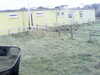 20200908-MOVI0047-frame0002.jpg