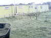 20200908-MOVI0047-frame0005.jpg