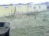 20200908-MOVI0048-frame0003.jpg