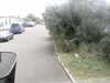 20200908-MOVI0050-frame0002.jpg