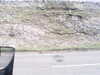 20200908-MOVI0052-frame0001.jpg
