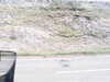 20200908-MOVI0052-frame0003.jpg