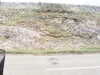 20200908-MOVI0053-frame0001.jpg