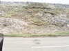 20200908-MOVI0053-frame0002.jpg