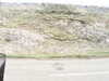 20200908-MOVI0053-frame0005.jpg