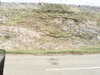 20200908-MOVI0054-frame0001.jpg