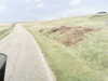 20200908-MOVI0056-frame0002.jpg
