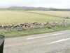 20200908-MOVI0056-frame0003.jpg
