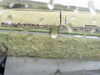 20200909-MOVI0004-frame0005.jpg