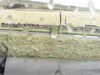 20200909-MOVI0005-frame0002.jpg