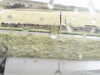 20200909-MOVI0005-frame0005.jpg