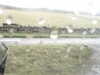 20200909-MOVI0006-frame0001.jpg
