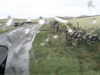 20200909-MOVI0006-frame0004.jpg