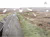 20200909-MOVI0008-frame0002.jpg