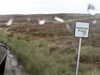 20200909-MOVI0009-frame0001.jpg