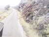 20200909-MOVI0013-frame0001.jpg