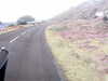 20200909-MOVI0015-frame0001.jpg