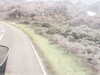 20200909-MOVI0016-frame0003.jpg