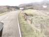 20200909-MOVI0016-frame0004.jpg