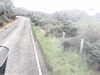 20200909-MOVI0017-frame0001.jpg