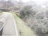 20200909-MOVI0017-frame0002.jpg