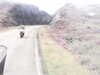 20200909-MOVI0019-frame0004.jpg