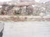 20200909-MOVI0023-frame0003.jpg