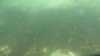 20200909-00035-frame0010.jpg