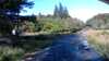 20200909-012855A-frame0004.jpg