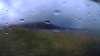 20200909-223532A-frame0003.jpg