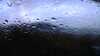 20200909-224532A-frame0004.jpg