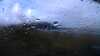 20200909-225032A-frame0004.jpg