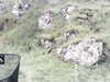 2020-09-10:achmelvich-gruinard-rear
