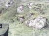 20200910-MOVI0000-frame0002.jpg
