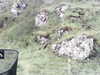 20200910-MOVI0000-frame0003.jpg