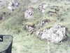 20200910-MOVI0000-frame0005.jpg